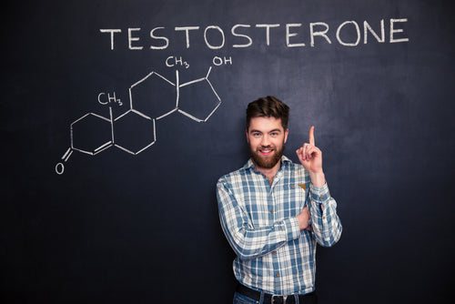 Unlocking the Power of Fenugreek: Testosterone Booster by ekön Tea
